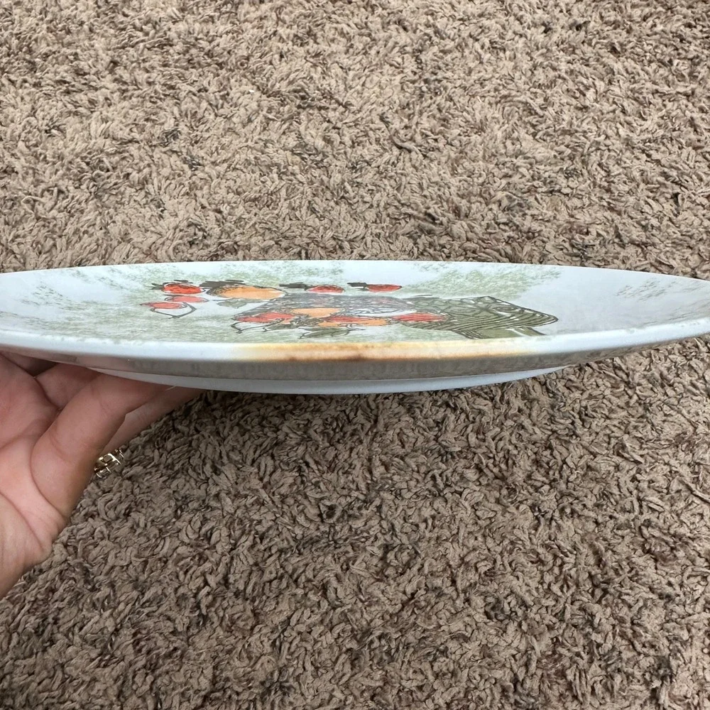 Vintage Texas Ware Melamine Dinner Plates Set of 4 Fruit Still Life MCM 9.75